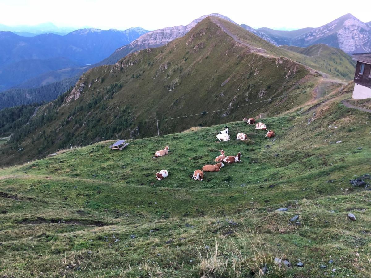 Haus Mup Daire Spittal an der Drau Dış mekan fotoğraf